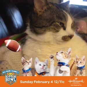 Meet your Posher, Betty